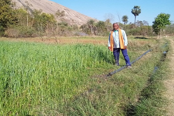 किसान सुखसाय रबी और खरीफ की फसल का ले रहे लाभ