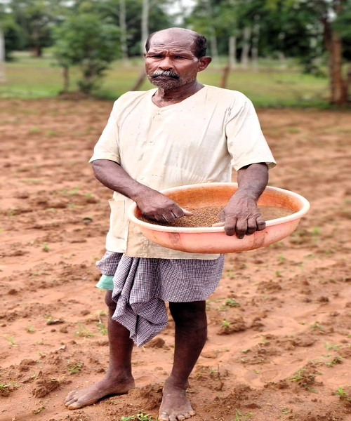  कम लागत में अधिक लाभ प्राप्त होने से जिले के कृषकों का बढ़ रहा है कोदो की खेती के प्रति रूझान