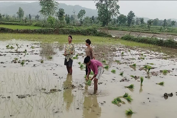 प वन मंडल पंडरिया में बैगीन महिला वन कर्मचारी के साथ शोषण