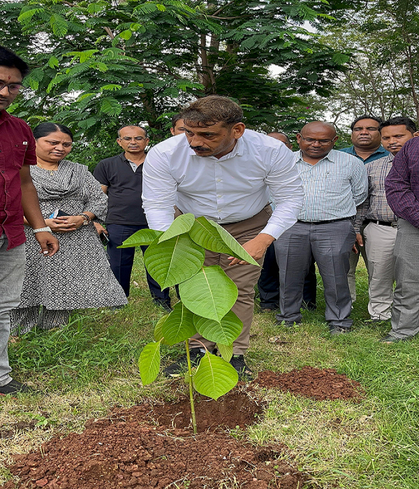  कलेक्टर श्री गोपाल वर्मा ने कलेक्टोरेट परिसर में किया कदम पौधे का रोपण, पर्यावरण संरक्षण का दिया संदेश