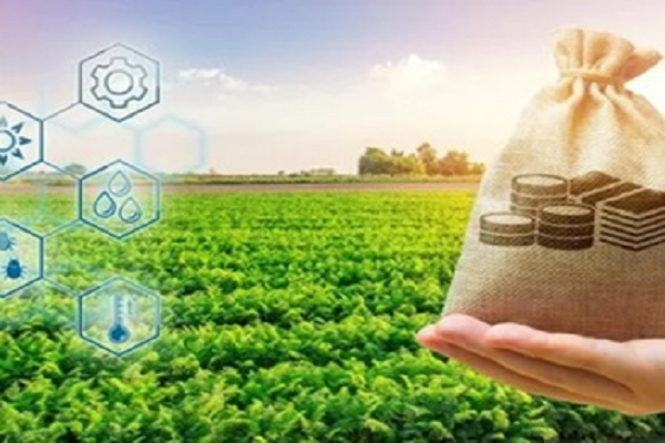 फसल बीमा कराने आज से समितियों में लगेंगे शिविर