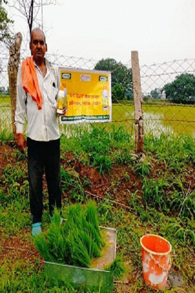 नैनो डीएपी का भंडारण और वितरण सुचारु