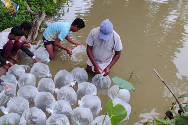 मछली बीज उत्पादन में आत्मनिर्भरता की राह पर बस्तर