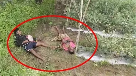 खेत में करंट की चपेट में आने से पिता-पुत्र की मौत, गांव में सनसनी