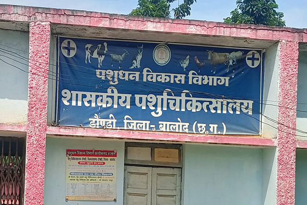  डौंडी पशु चिकित्सा विभाग में लापरवाही, तीन साल से रिक्त पद और सर्जन का बालोद अटैचमेंट सवालों के घेरे में