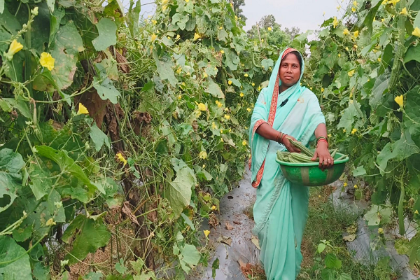  सब्जी की खेती ने दानवती को बनाया लखपति दीदी
