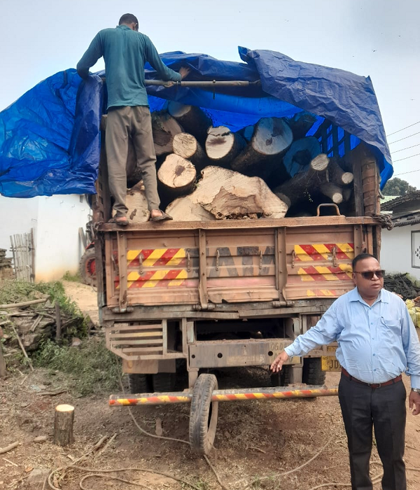 डौंडी क्षेत्र में अवैध लकड़ी कटाई और तस्करी का बड़ा खुलासा