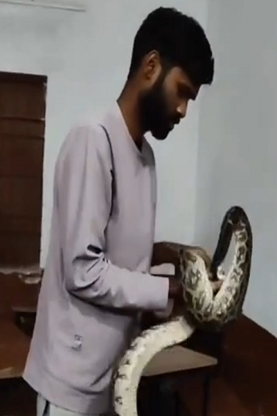 बेंच के नीचे बैठा था अजगर, क्लासरूम में मची अफरातफरी...