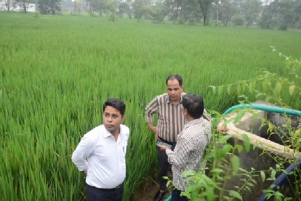 कलेक्टर ने धरसीवां क्षेत्र में गिरदावरी एवं दावा-आपत्ति निराकरण कार्य का किया निरीक्षण