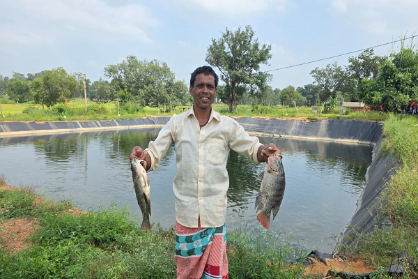  ग्रामीण अंचलों में मत्स्य पालन से आजीविका एवं आत्मनिर्भरता के खुल रहे नए अवसर
