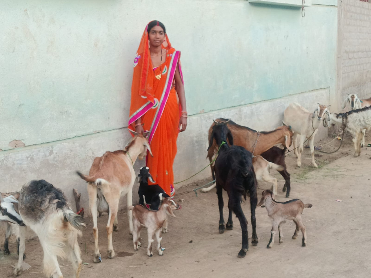 महतारी वंदन योजना से बदली ज़िंदगी श्यामा बनी आत्मनिर्भरता की पहचान