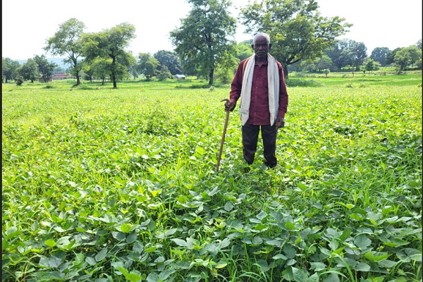  साधारण किसान से प्रगतिशील किसान की ओर बढ़ रहे महावीर पुषाम