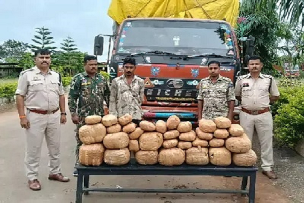 7 लाख का गांजा जब्त, सप्लायर ट्रक को जगदलपुर पुलिस ने पकड़ा