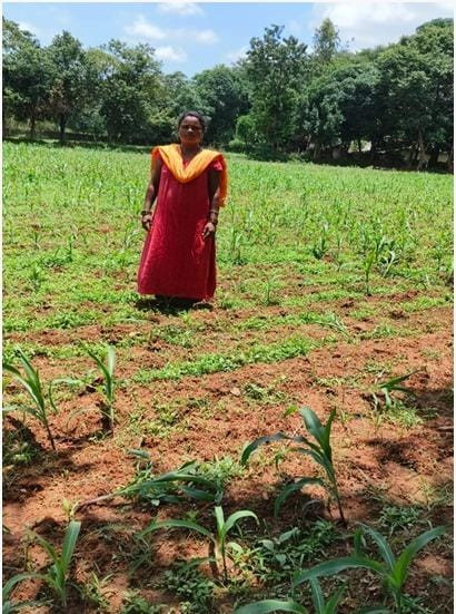 लखपति दीदी योजना से महिलाओं ने गढ़ी स्वरोजगार से आत्मनिर्भरता की नई मिसाल