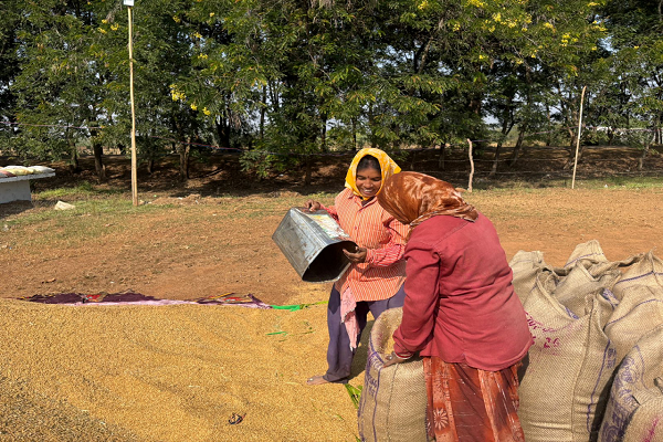 खरीफ उपार्जन शुरू होते ही धमतरी में लौटी रौनक