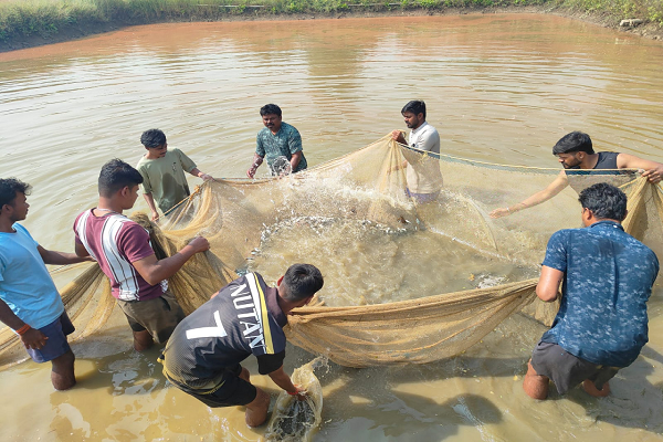  कृषि विज्ञान केन्द्र रायपुर में मिश्रित मत्स्य पालन प्रशिक्षण सम्पन्न