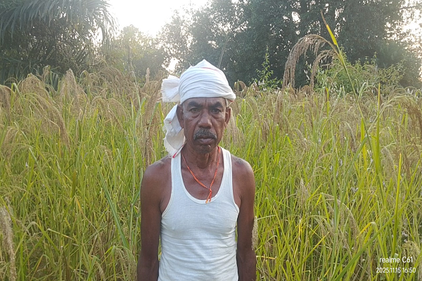 रासायनिक नहीं प्राकृतिक खेती ने तुलसीराम को दी नई पहचान