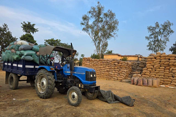 एमसीबी में अवैध धान विक्रय के संगठित गिरोह का मामला उजागर