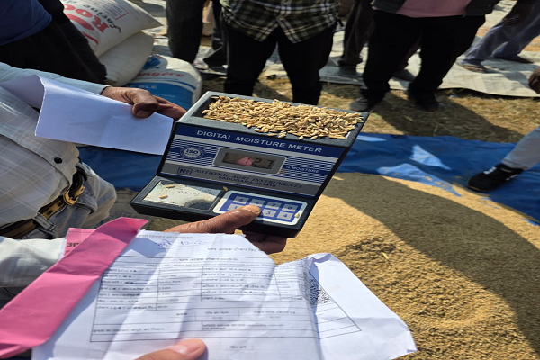 कोरिया जिले के कटगोड़ी, मुरमा, जटासेमर और पोंडी धान खरीदी केन्द्र में 40 क्विंटल अमानक धान रिजेक्ट