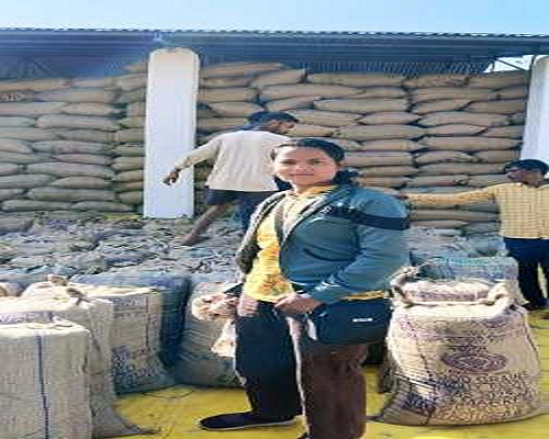 कृषिका संगीता ने बेचा 100 क्विंटल धान, प्राप्त राशि से घर बनान में उपयोग