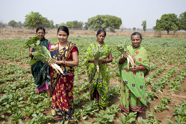 किसान दिवस पर 20,000 से ज्यादा किसानों को बनाया सशक्त