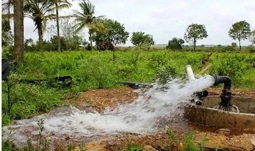 निःशुल्क बिजली से बदली खेती की तस्वीर    