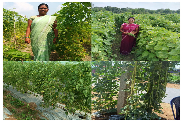  रायपुर : राष्ट्रीय ग्रामीण आजीविका मिशन: कर्ज के बोझ से मुक्त होकर आत्मनिर्भर बनी सुष्मिता जाटवर