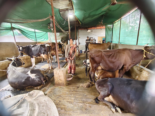  सरकारी योजना से मिली उड़ान, महिला सशक्तिकरण की मिसाल : गृहणी से सफल डेयरी उद्यमी का सफर  