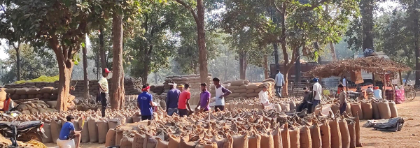 प्रशासन की धीमी चाल से खरीदी केंद्र बेहाल, धान उठाव बना सिरदर्द, प्रभारियों को सताने लगी चिंता