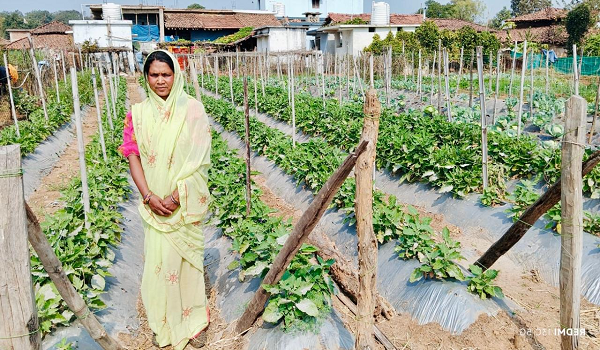 बिहान योजना से आत्मनिर्भर बनी ग्राम झलमला की जानकी धुर्वे