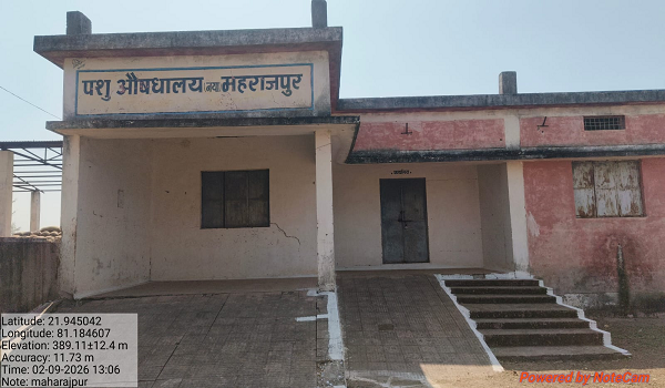 ताले में कैद पशु औषधालय, सड़क पर तड़पकर मरती बछिया &mdash; महराजपुर में सरकारी लापरवाही की क्रूर तस्वीर