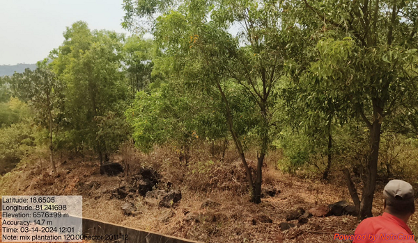 हरियाली और रोजगार को मिलेगा बढ़ावा