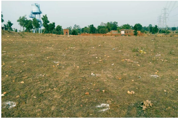 कुसमुंडा परिक्षेत्र में 20,000 पौधों का सफल रोपण