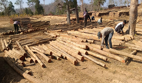 वन विकास निगम में &lsquo;डिजिटल क्रांति&lsquo; और &lsquo;रोजगार संगम&lsquo; का सफल मॉडल