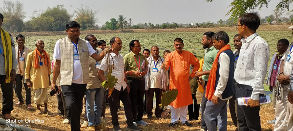 मध्यप्रदेश के किसानों का ग्राम लिंगाडीह आरंग में मखाना खेती भ्रमण एवं प्रशिक्षण संपन्न