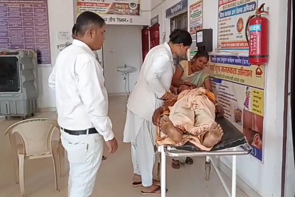 भानपुरी में जंगली सुअर का हमला : खेत से लौटते किसान दंपत्ति पर हमला, वन विभाग की लापरवाही पर उठे सवाल