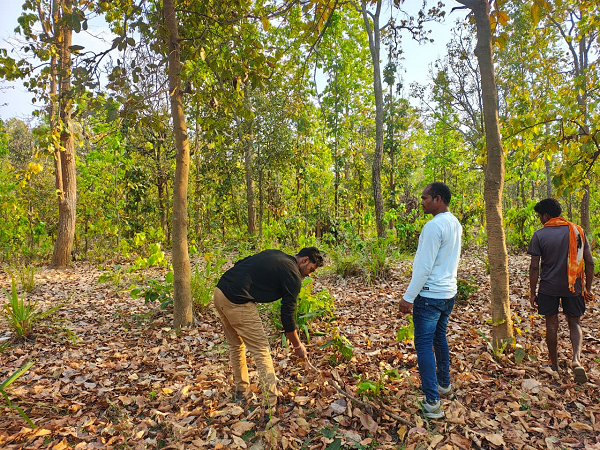 बाघ गणना का कार्य सफलतापूर्वक संपन्न