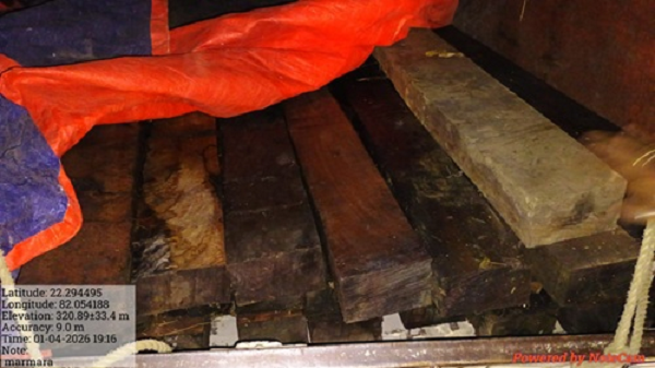 लकड़ी के अवैध परिवहन पर वन अमले ने किया पिकअप वाहन जब्त