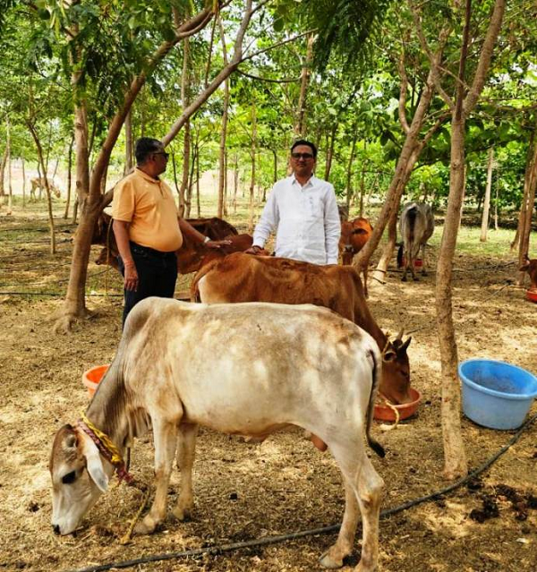 विश्व पृथ्वी दिवस : मनोहर गौशाला ने तालाब-जंगल बनाकर दी धरती संरक्षण की मिसाल