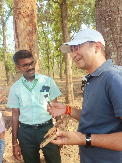 *साल हार्टवुड बोरर छत्तीसगढ़ के साल वनों के लिये एक गंभीर किट है-*