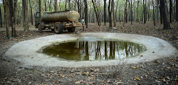 भीषण गर्मी में वन्यजीवों के लिए 'संजीवनी' बना बारनवापारा