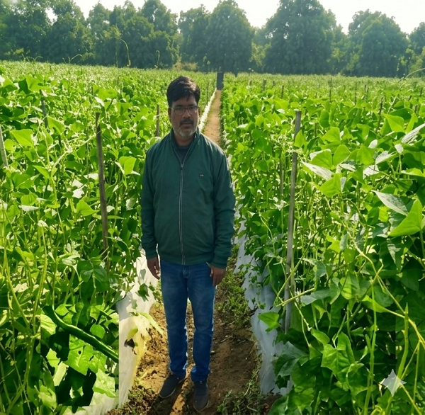 उद्यानिकी की आधुनिक तकनीकों से किसान महेश कश्यप की बदली तकदीर