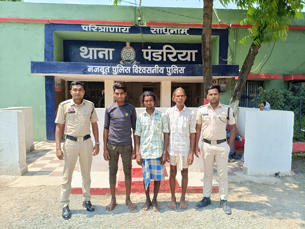 पशु तस्करी पर पण्डरिया पुलिस की बड़ी कार्यवाही।