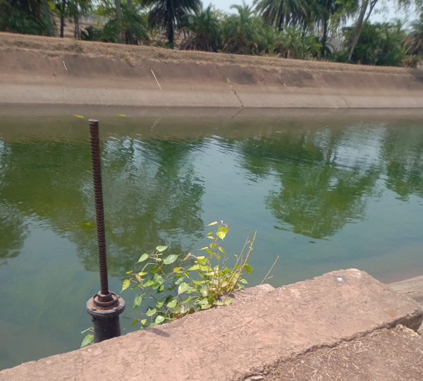 सुशासन तिहार में ग्रामीणों की मांग पर तांदुला जलाशय से नदी और नहरों में छोड़ा गया पानी
