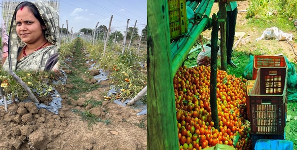 पशु पालन और सब्जी बाड़ी व्यवसाय से लखपति दीदी बन परिवार का सपना पूरा कर रही हैं निधि तिवारी 