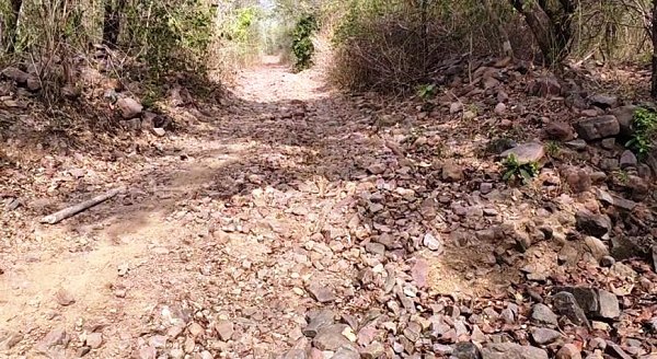 आजादी के 79 साल बाद भी विकास की राह देख रहा कोत्तापल्ली
