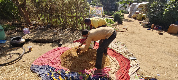 नैनो यूरिया और नैनो डीएपी का उपयोग कम लागत में ज्यादा उत्पादन
