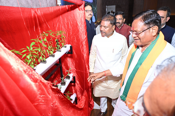 विशेष लेख : हाइड्रोपोनिक्स तकनीक : खेती का नया और स्मार्ट विकल्प