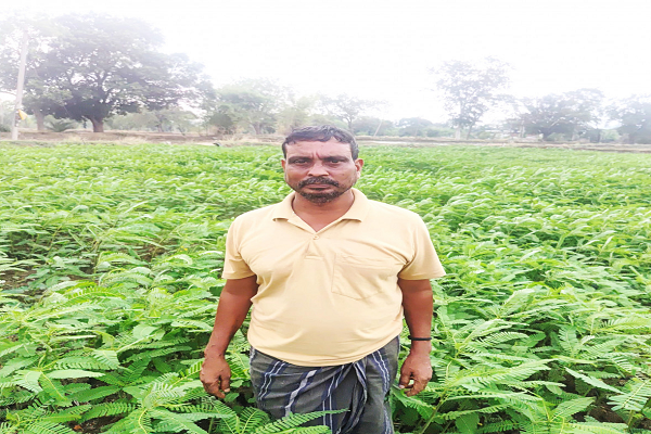 फसल विविधीकरण को मिलेगा बढ़ावा