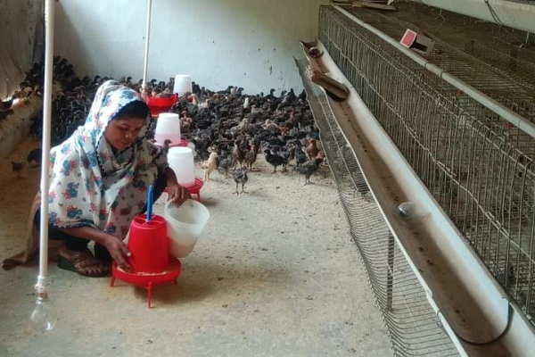  ​सफलता की नई उड़ान : पारंपरिक मजबूरी से 'लखपति दीदी' बनने तक का सफर